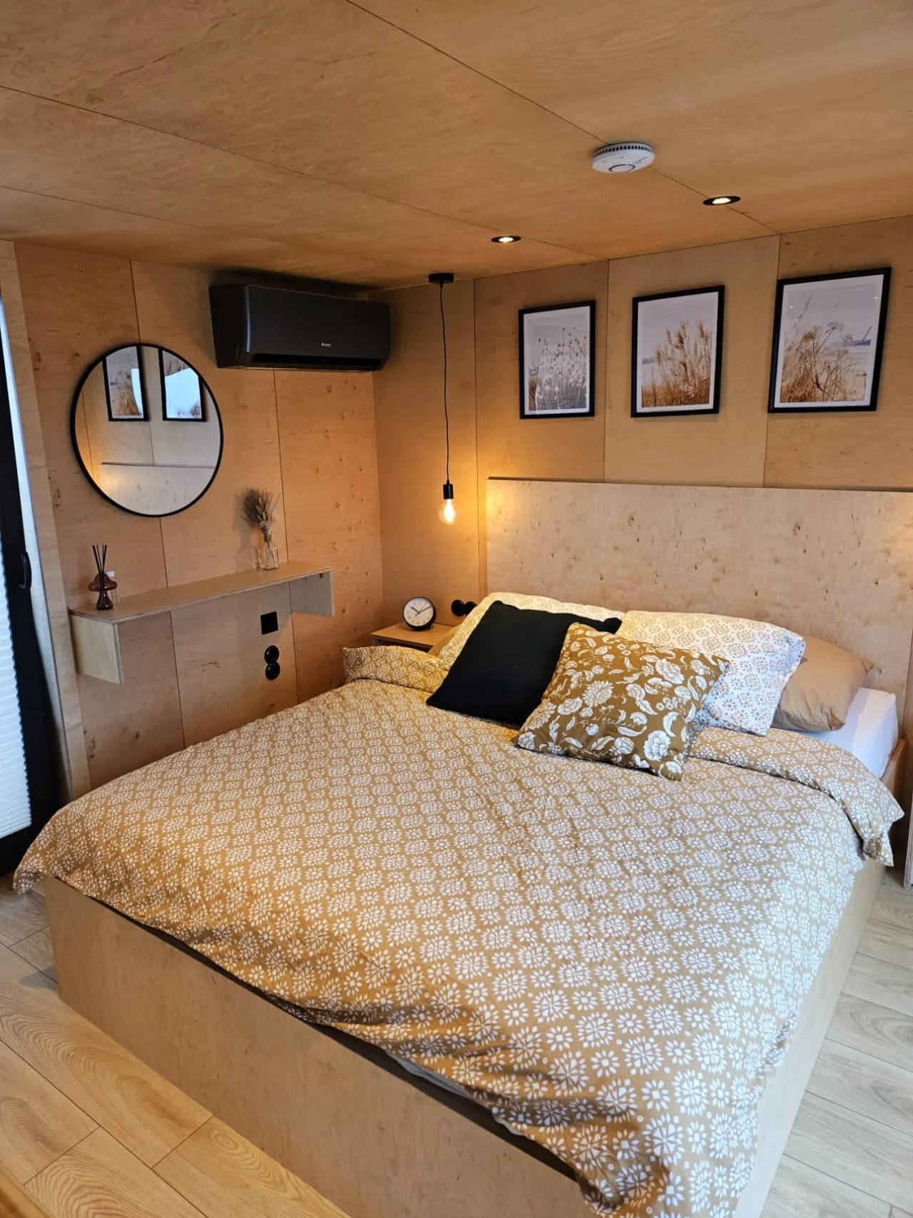 Originalaufnahme zum Beitrag: Warum selbst Quallen schlafen – und was das für unser Leben im Tiny House bedeutet