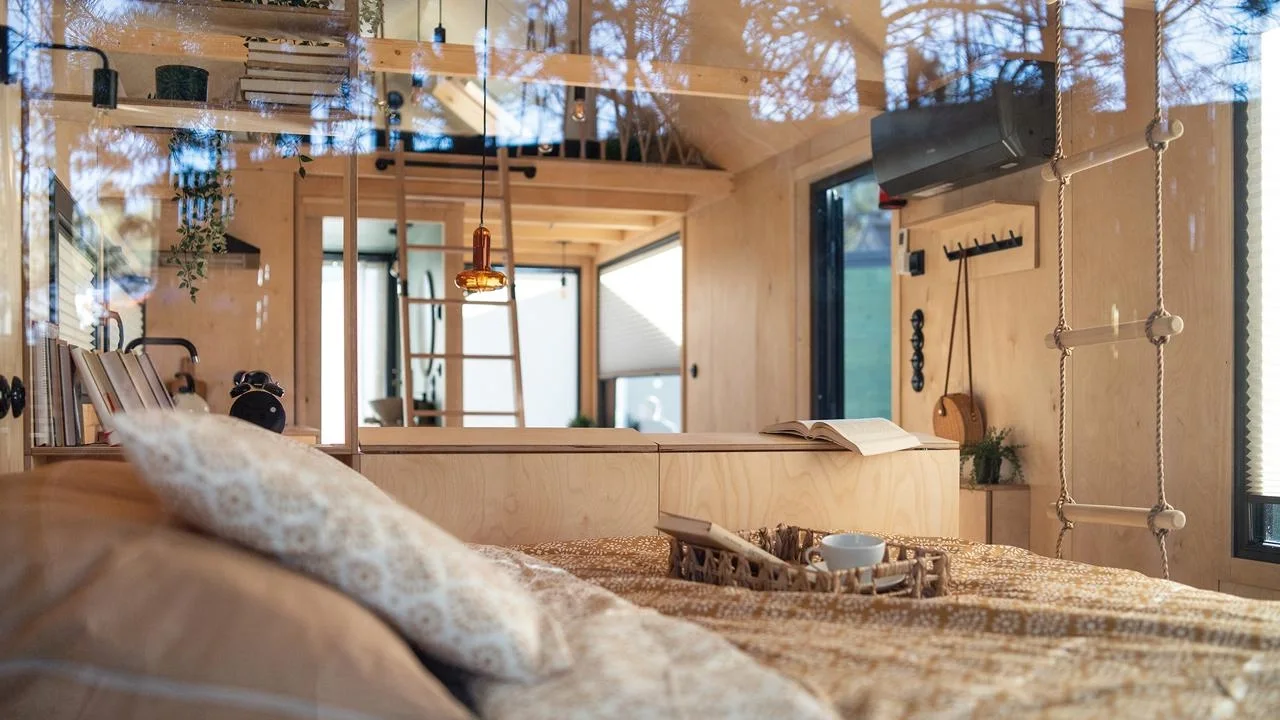 Originalaufnahme zum Beitrag: Warum selbst Quallen schlafen – und was das für unser Leben im Tiny House bedeutet