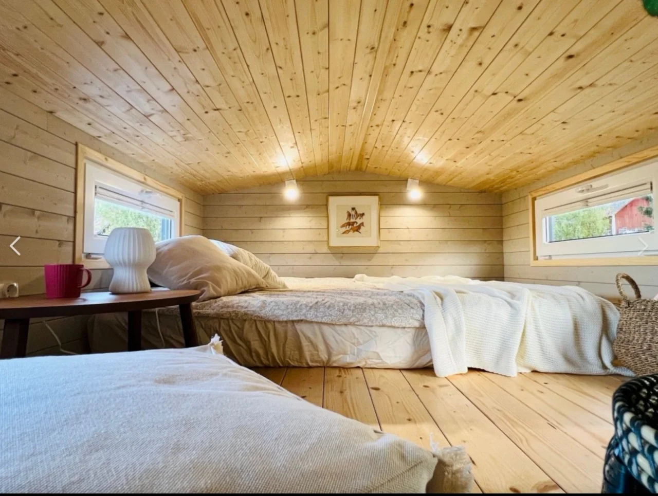 Originalaufnahme zum Beitrag: Warum selbst Quallen schlafen – und was das für unser Leben im Tiny House bedeutet