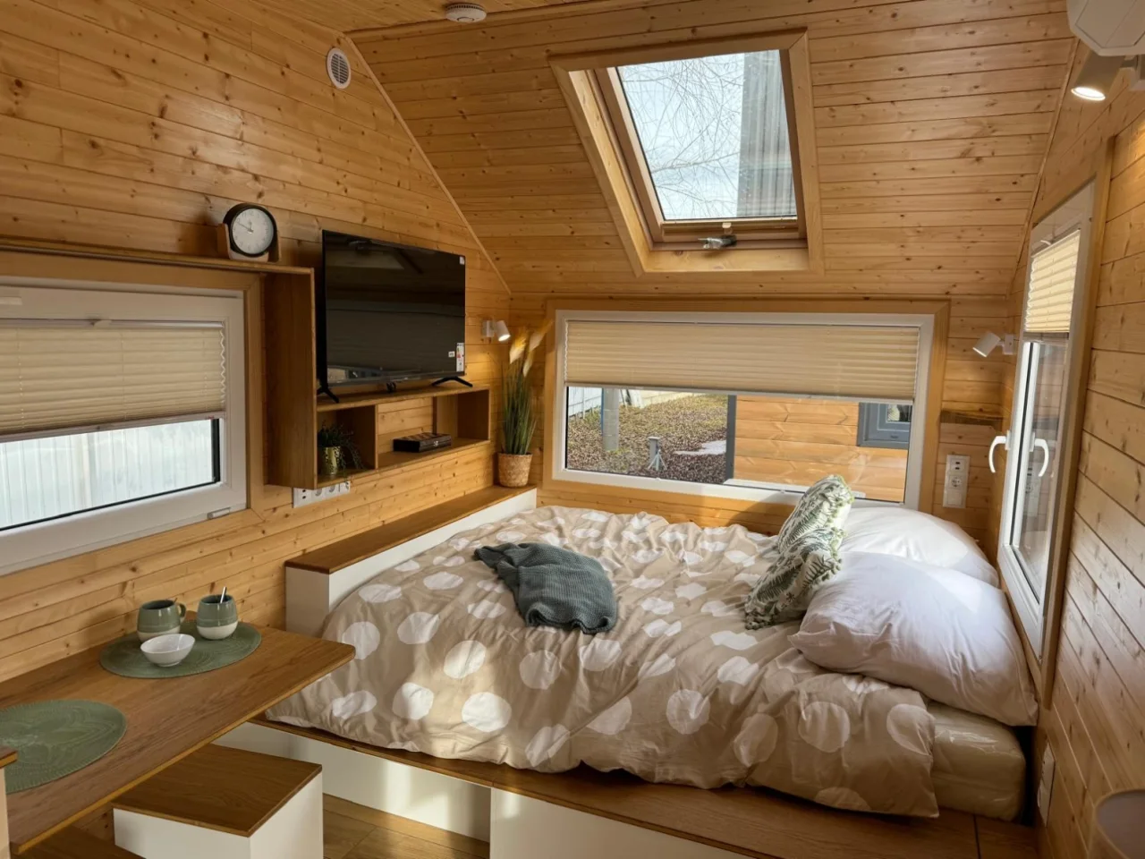 Originalaufnahme zum Beitrag: Warum selbst Quallen schlafen – und was das für unser Leben im Tiny House bedeutet
