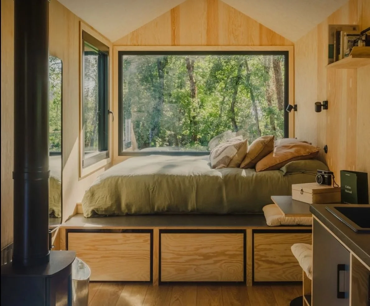 Originalaufnahme zum Beitrag: Warum selbst Quallen schlafen – und was das für unser Leben im Tiny House bedeutet