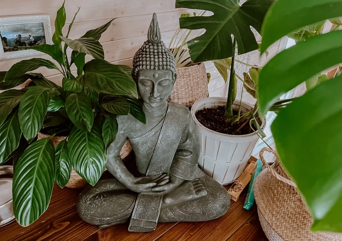 Originalaufnahme zum Beitrag: Was das Leben im Tiny House mit Yoga zu tun hat